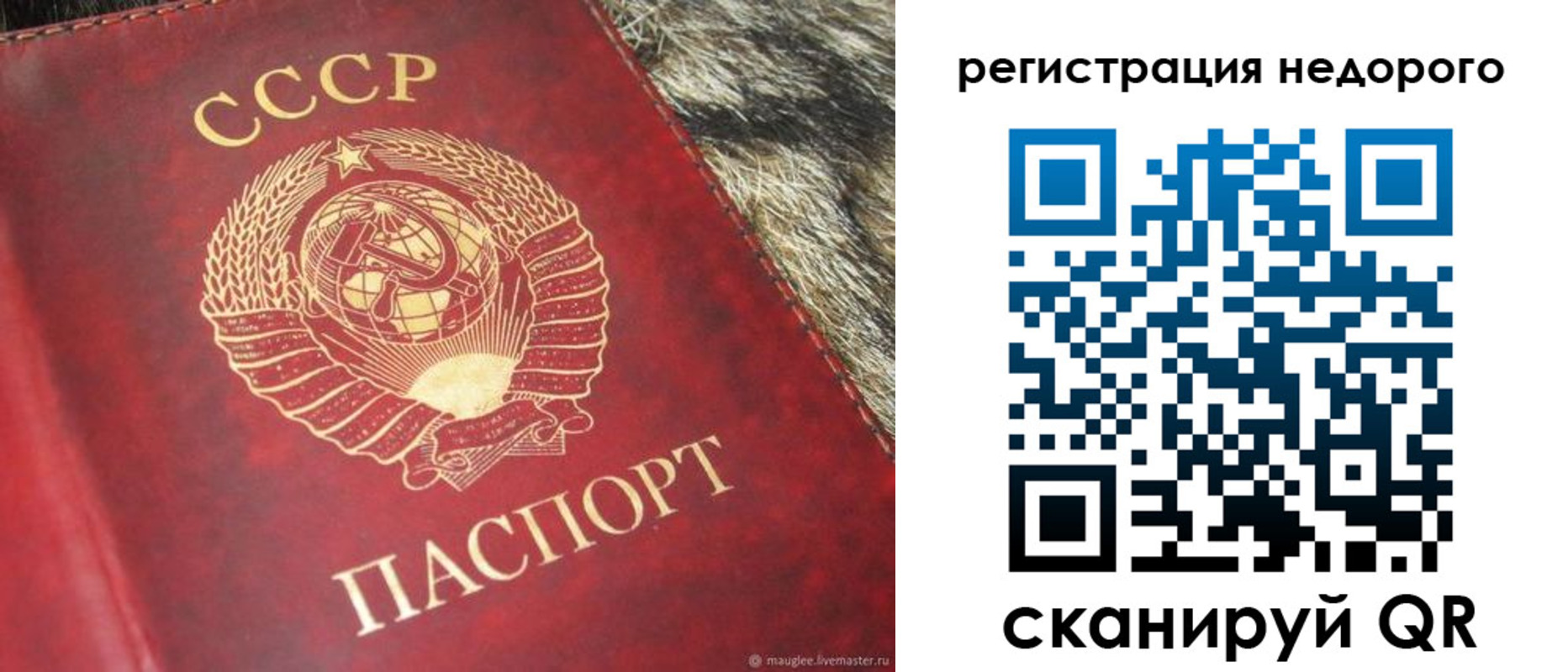 прописка ребенка в Камешково